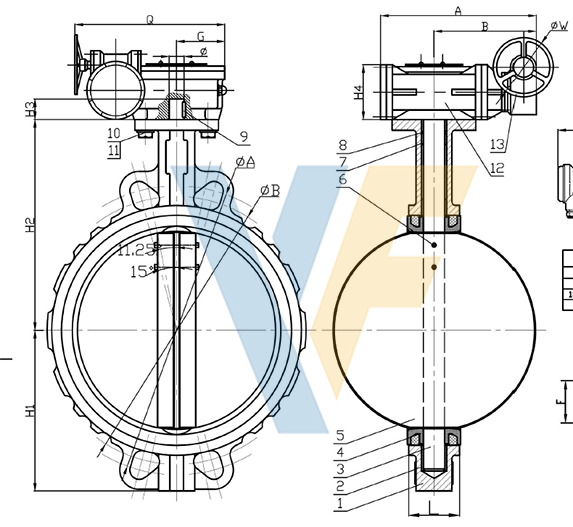 Universal type Butterfly Valve