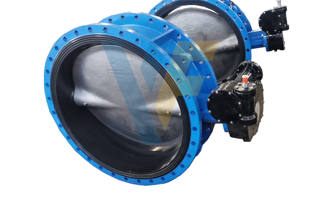Double Flange Butterfly Valve
