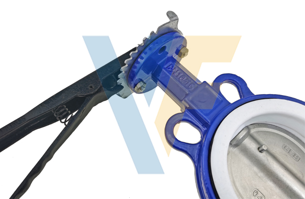 A Type PTFE Seat Butterfly Valve