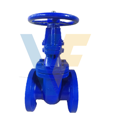 OS&Y Cast Iron Gate Valve, 150LB