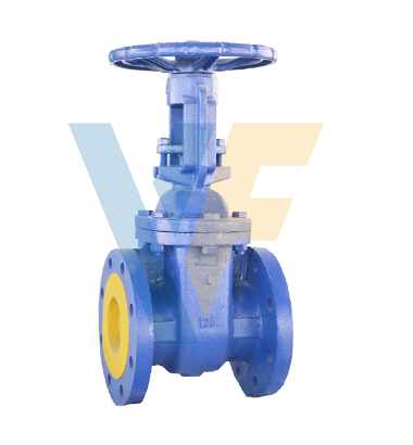 Cast Iron Rising Stem Gate Valve, JIS 10K