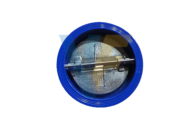 Ductile iron wafer check valve