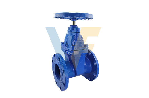 BS5163 Resilient Gate Valve