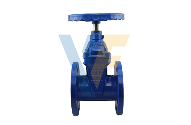 BS5163 Resilient Gate Valve