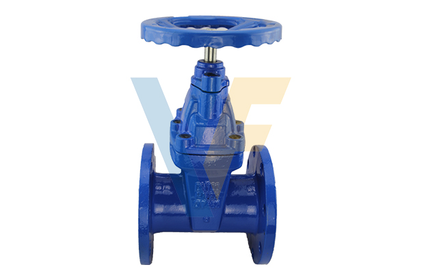 PN25 BS5163 Resilient Gate Valve