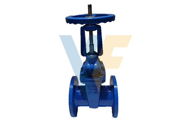 OS&Y Rising Stem BS5163 Resilient Gate Valve