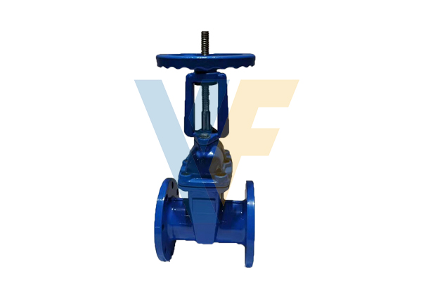 AWWA Rising Stem Resilient Seated Gate Valve