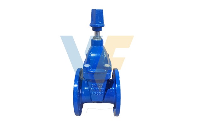 F4 Non-Rising Stem Resilient Seated Gate Valve with Cap