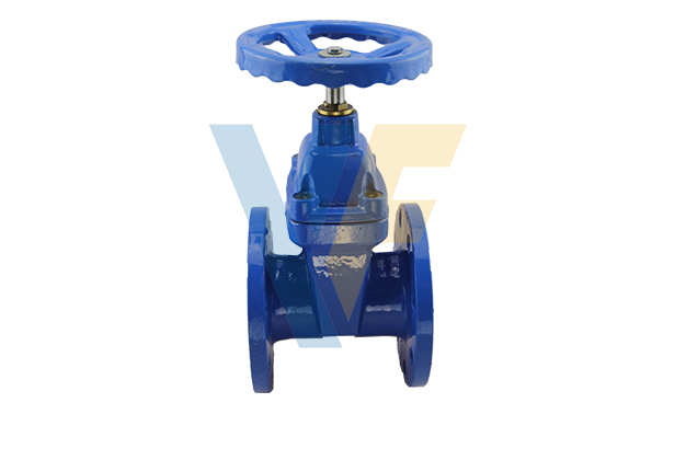 F4 Gate Valve with Brass Nut