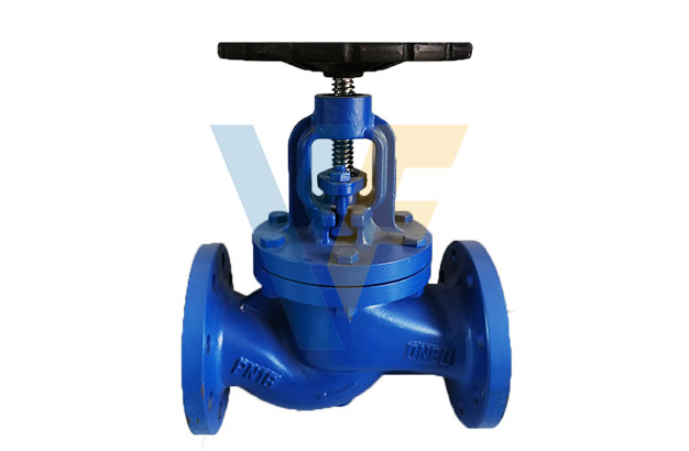 DIN Globe Valve