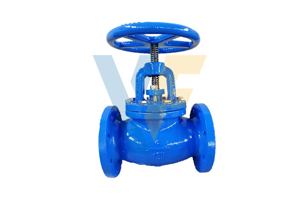 ANSI Globe Valve