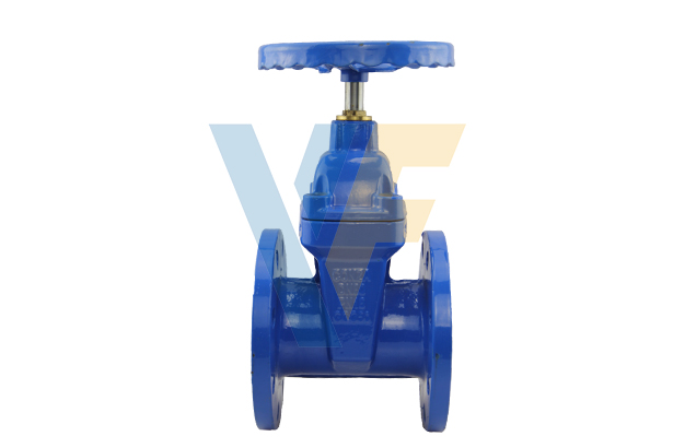 BS5163 Resilient Gate Valve with Brass Nut