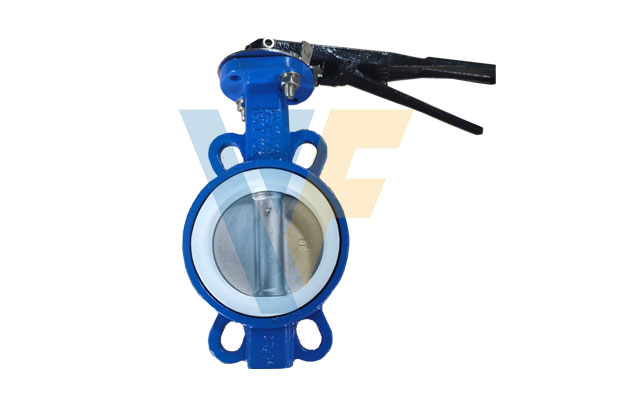 PTFE Lined Butterfly Valve