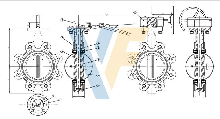 Lug butterfly valve