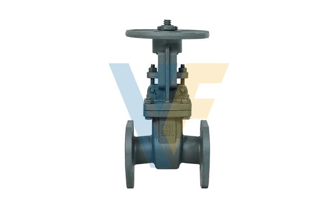 GOST Gate Valve