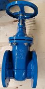 F4 Non Rising Stem Gate Valve to Europe