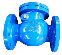 Introduction of Check Valve